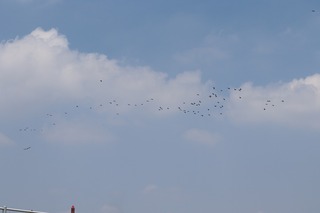 IMG_4574