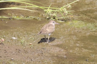 IMG_6417