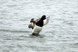 IMG_1197