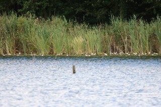 IMG_9138