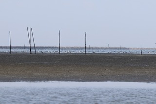 IMG_4770