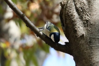 IMG_9767