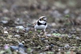 IMG_8005