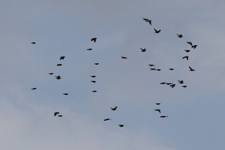 IMG_3473
