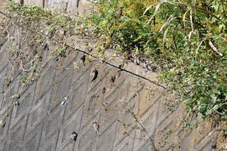 IMG_1908