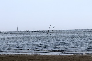 IMG_4883
