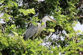 IMG_5751
