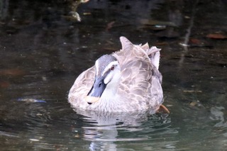 IMG_9559