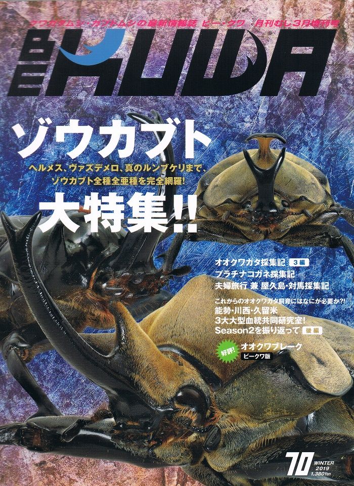 イメージ 1