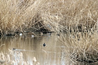 IMG_4791