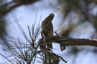 IMG_8840