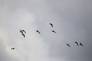 IMG_2811