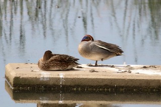 IMG_0757