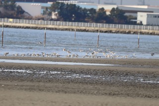 IMG_0128