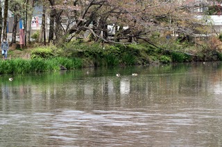 IMG_2320