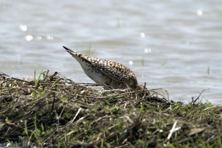 IMG_4022