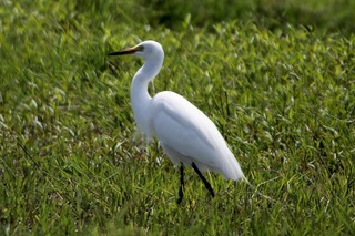 IMG_3829