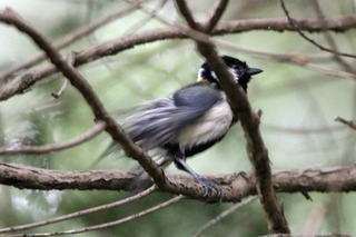 IMG_9435