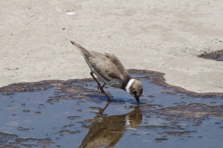 IMG_1458