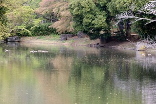IMG_2440