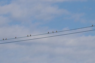 IMG_7827