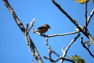 IMG_4067