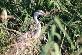 IMG_9628