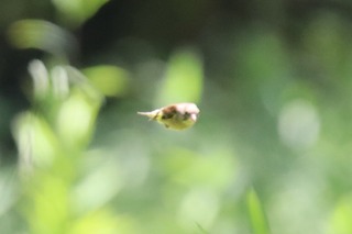 IMG_8837