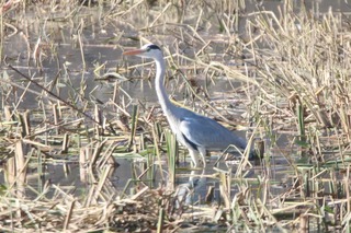 IMG_9855