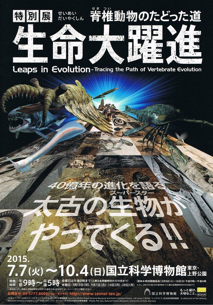 イメージ 2