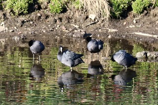 IMG_1638