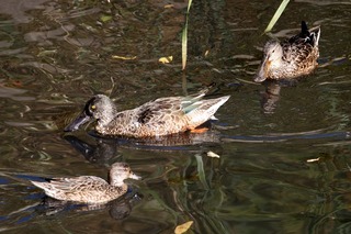 IMG_0030