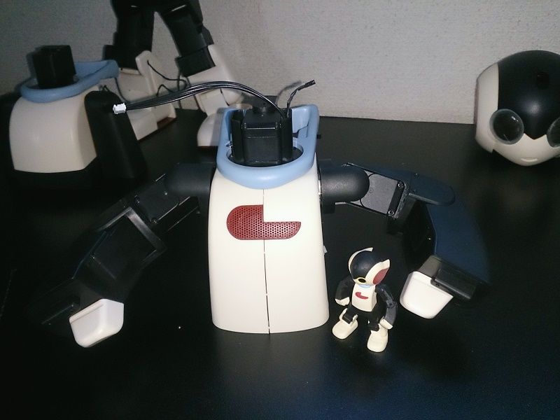 イメージ 8