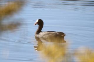 IMG_9887