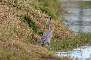 IMG_1034