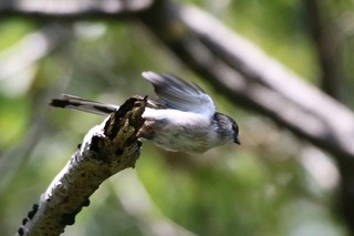 IMG_9284