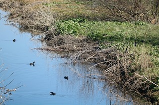 IMG_2423