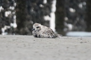 IMG_8256