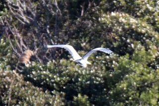 IMG_9206