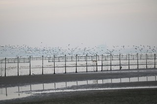 IMG_8012