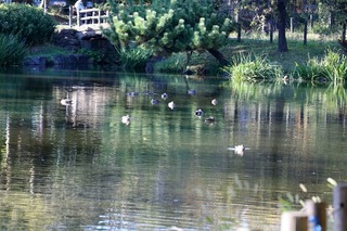 IMG_4668