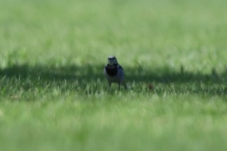 IMG_5870