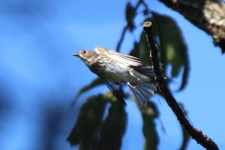 IMG_9901