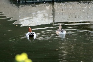IMG_0572