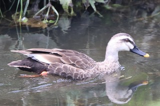IMG_9579