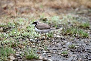 IMG_8072