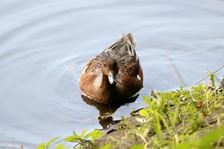 IMG_6317