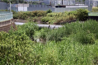 IMG_9002