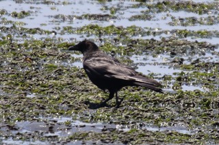 IMG_3432