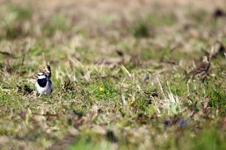 IMG_4565